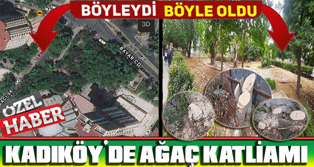 Kadıköy'de Ağaç Katliamı